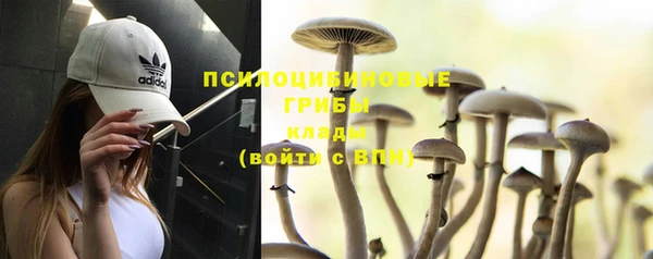 мескалин Абинск