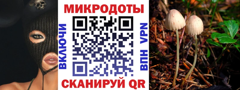 darknet официальный сайт  Калачинск  Галлюциногенные грибы Psilocybine cubensis  наркошоп  MEGA ССЫЛКА 